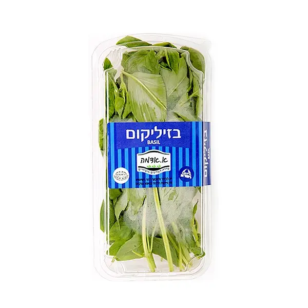 בזיליקום