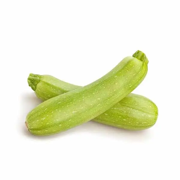 קישואים