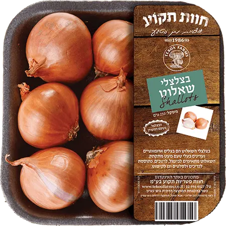בצלי שאלוט